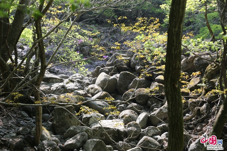 观音寺路线初段被溪水冲刷的鹅卵石