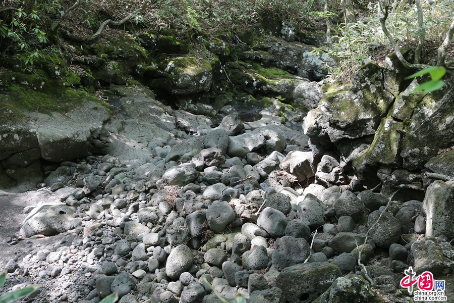 观音寺路线初段被溪水冲刷的鹅卵石