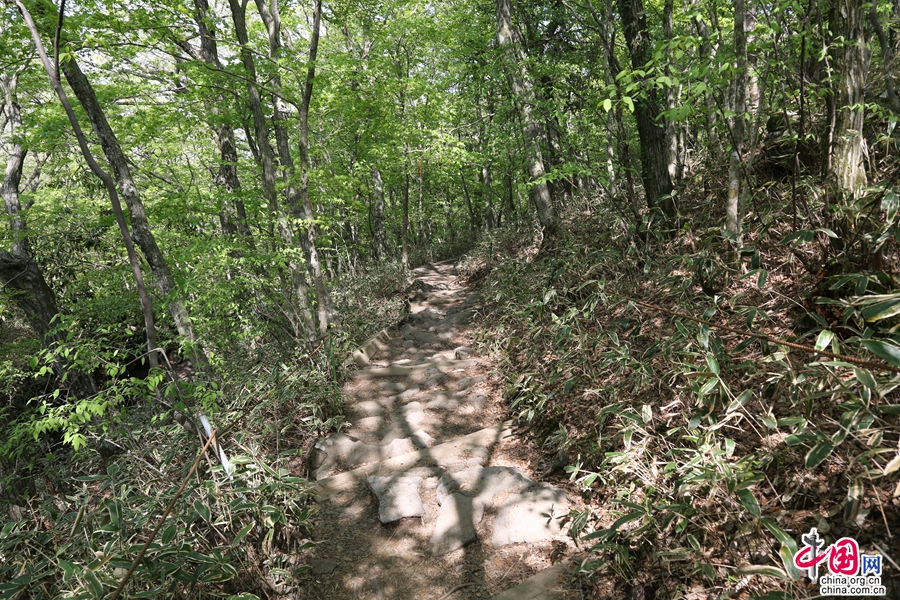 观音寺路线登山小径