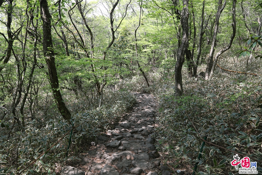 观音寺路线登山小径