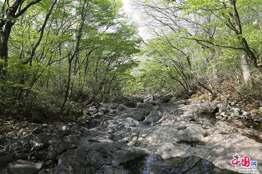 观音寺路线的河床