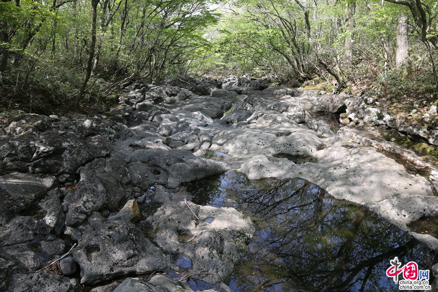 观音寺路线的河床