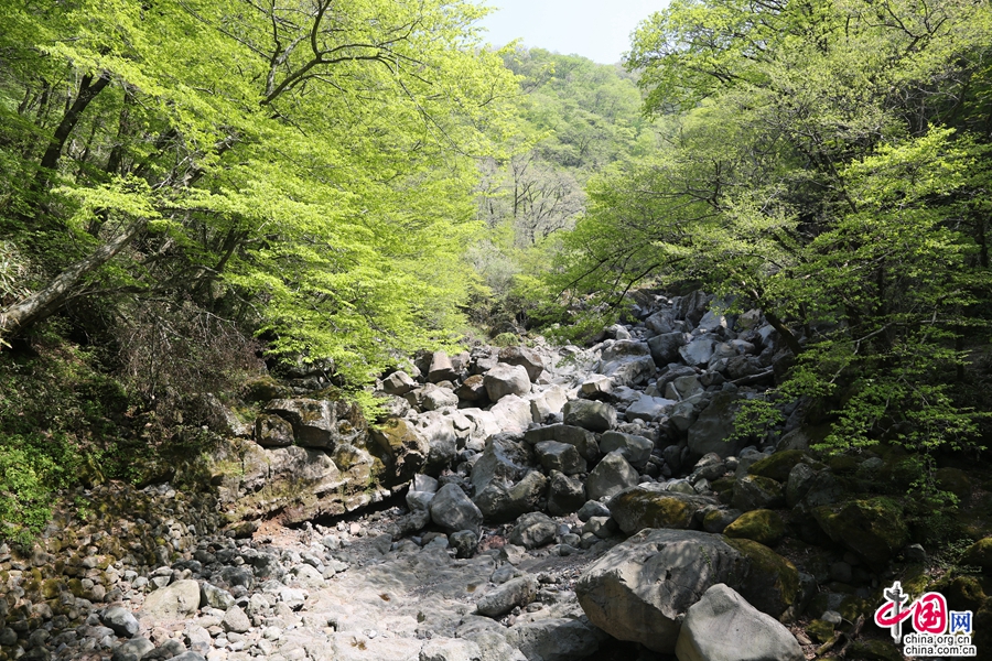 观音寺路线的河床