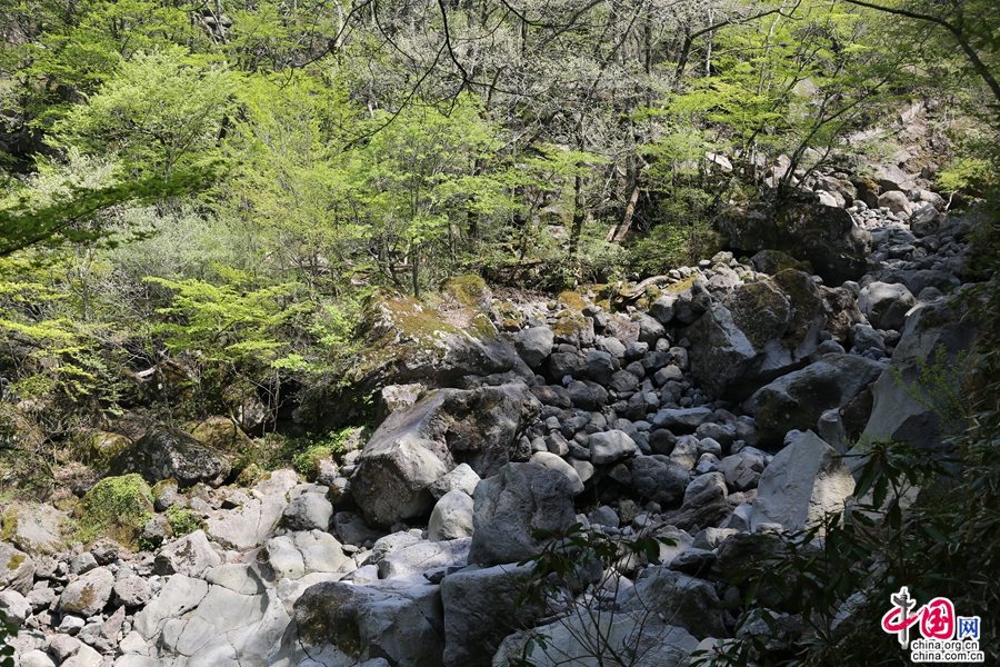 观音寺路线的河床