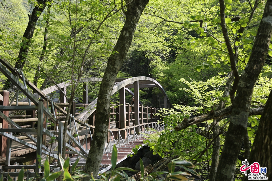 观音寺路线河床上的桥