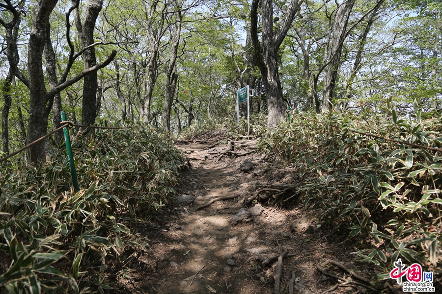 观音寺路线较陡峭