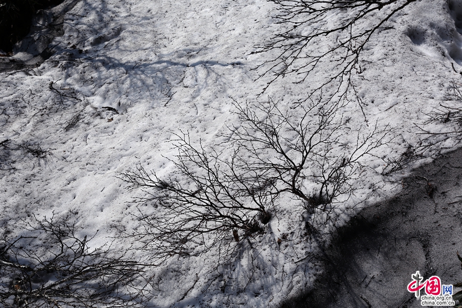 汉拿山北麓山间积雪