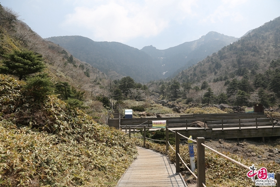 沿着龙阁镇峡谷间的栈道上行