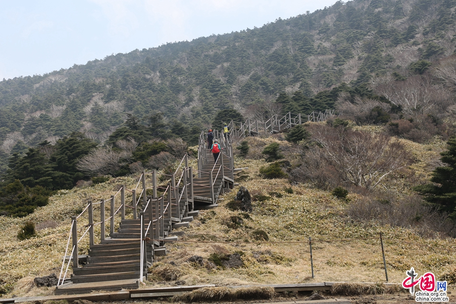 观音寺线路最后一段全是木栈道，但也较为陡峭