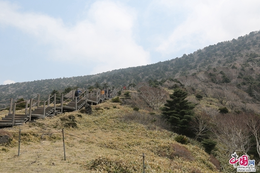 观音寺线路最后一段全是木栈道，但也较为陡峭