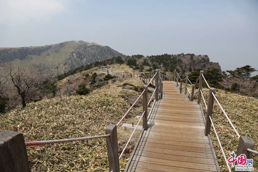 观音寺线路最后一段全是木栈道，但也较为陡峭