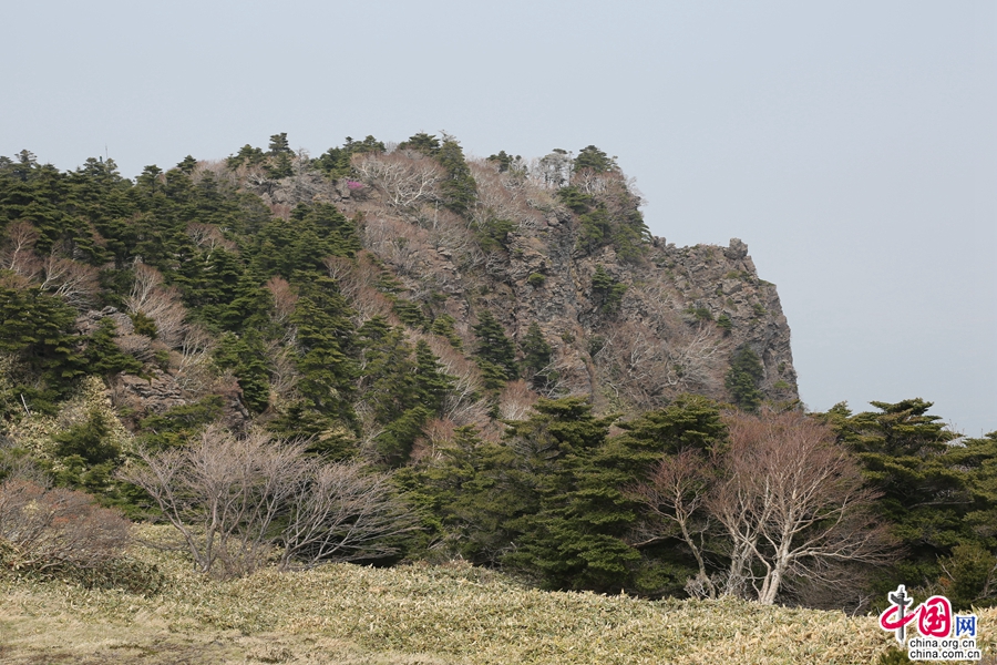 远眺山巅