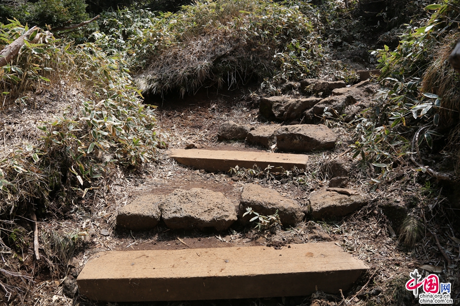 崎岖不平的山路