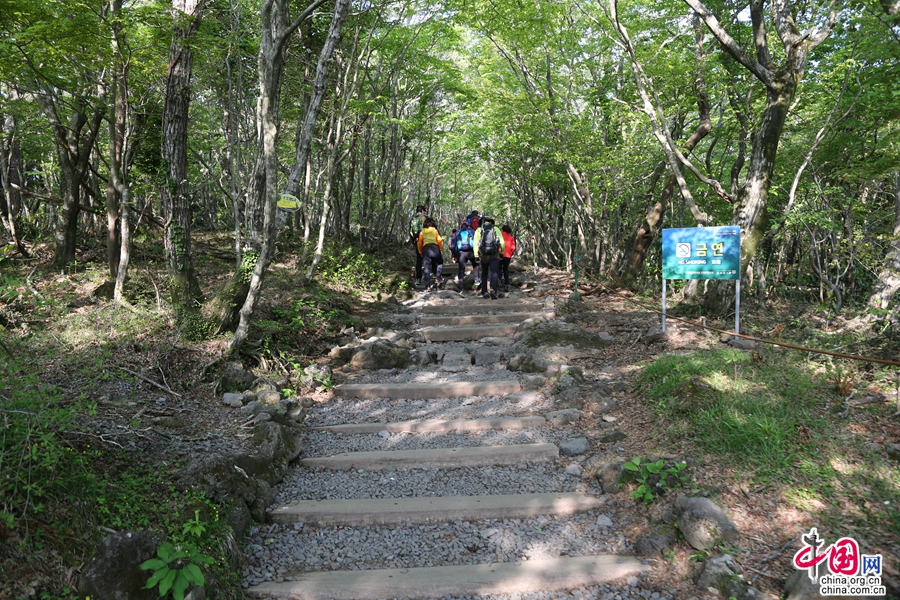 标题图片