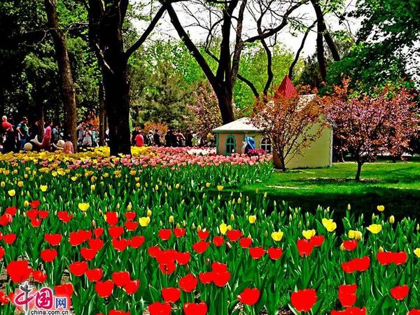 ��� ���� ������ ������ �����