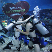 'لحظات رومانسية تحت الماء' تستقبل عيد تشيشي 