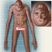 شكل الإنسان بعد ألف سنة سيكون أطول ذراعا وساقاً وأكثر تجعداً (خاص)