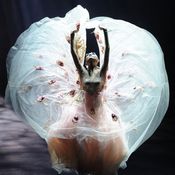 راقصة صينية شهيرة تقدم العرض الأول لمسرحية 'الطاووس' في بكين