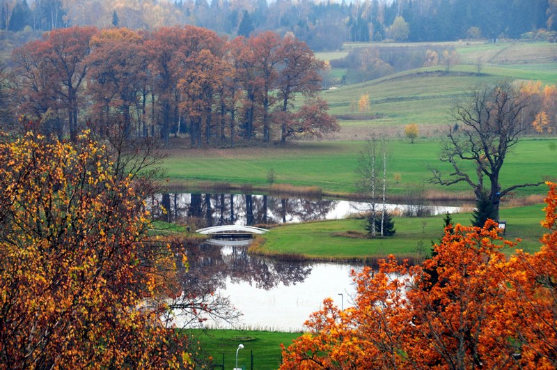 ���� ���� ������ �� ���� ������