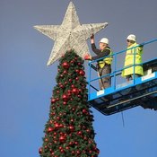 أكبر شجرة لعيد الميلاد بطول 27.5 متر تظهر في بريطانيا ! (خاص)