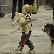 معرض ببروكسل يعكس العلاقة الحميمة بين الإنسان والكلاب (خاص)