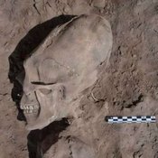 علماء يعثرون على جمجمة 'كائن فضائي' في المكسيك (خاص)