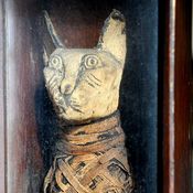 مومياء قط مصرية قديمة تظهر في بريطانيا 