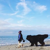 بالصور: طفل مع كلبه الكبير 