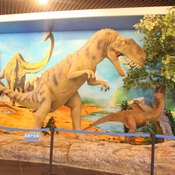 جولة في مُتحف ولاية تشانغجي للديناصورات (خاص)