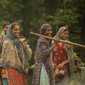 نساء عاملات بقبيلة غابية في ولاية غوجارات الهندية (خاص)