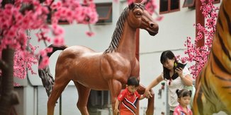ماليزيا تستعد لاستقبال عام الحصان المقبل (خاص)