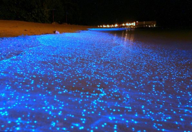 شاطئ مُضِيء في جزر المالديف 