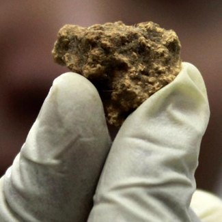 علماء آثار يعثرون على أقدم جبن في العالم عمرها 3600 عام 