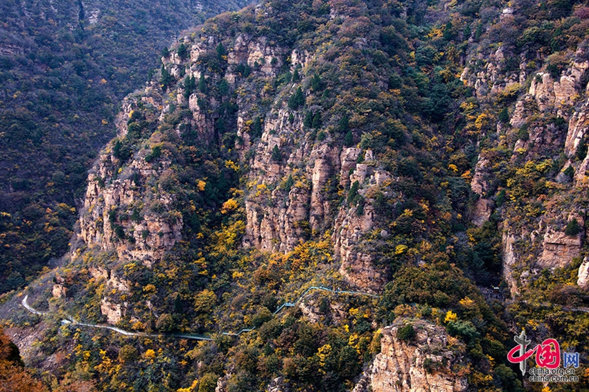 标题图片