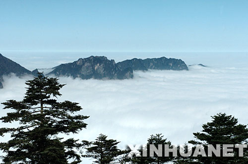 10月9日，神农架出现了难得一见的云海奇观。神农架自然保护区位于湖北省西部，保护区内保存有完好的寒武纪地质结构、原生和次生生物群落及丰富的动植物资源，有着巨大的生态、科研价值。 新华社记者 郝同前摄 
