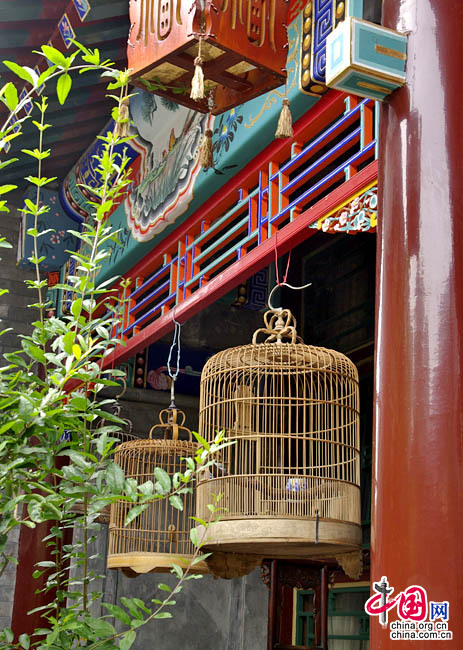 Les cages à oiseaux font partie de la tradition pékinoise