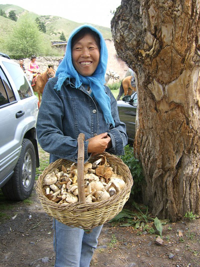 Vendeuse de champignons sauvages