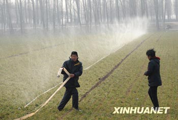 Plus de 9 millions d'hectares de blé au Nord de la Chine souffrent d'une forte sécheresse