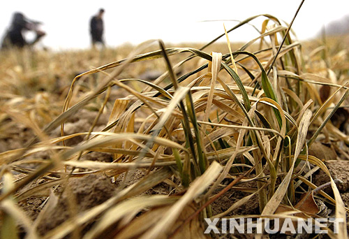 La Chine alloue 86,7 milliards de yuans pour affronter la sécheresse prolongée