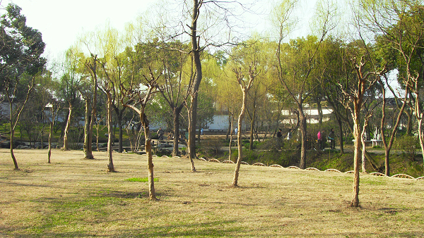 Le jardin Zhuozheng de Suzhou, jardin classique représentatif de la Chine19