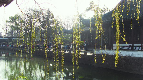 Le jardin Zhuozheng de Suzhou, jardin classique représentatif de la Chine13