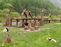 Construction d'un nouveau centre d'élevage de pandas géants au Sichuan