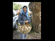 Vendeuse de champignons sauvages