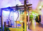 Qingdao : le quartier commercial du vin Hongjiufang ouvrira le 16 août 2009