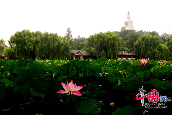 Le parc Beihai, qui s&apos;est vu décerner le grade de site touristique de niveau national AAAA, est le jardin royal le plus ancien et le mieux conservé de Chine.