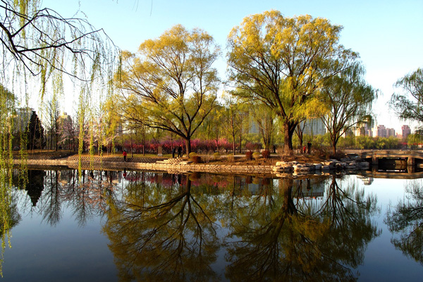 Situé dans le district de Haidian à Beijing, le parc Yuyuantan comprend un jardin de fleurs de cerisiers (sakura) dans l&apos;ouest, un lac dans le nord, l&apos;île Zhongshan dans le sud, ainsi que le jardin Liuchunyuan dans l&apos;est. Depuis quelques années, le festival de sakura qui se déroule chaque printemps dans le parc attire des visiteurs venus du monde entier.