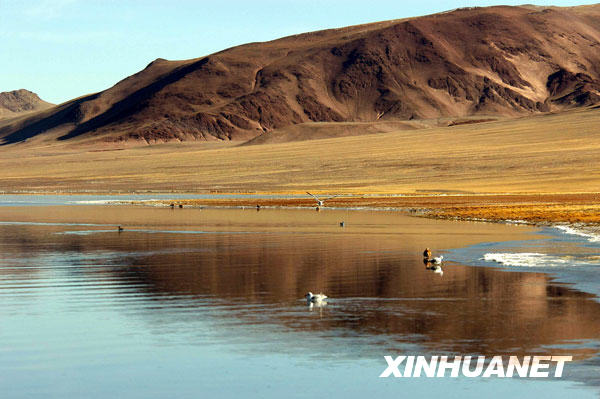 Groupe de lacs pittoresques de la zone inhabitée dans le nord du Tibet 5