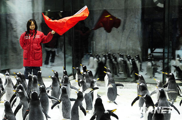  Le 21 septembre, les manchots de l'aquarium marin Shengya, dans la ville de Dalian, ' défilent ' devant les visiteurs.