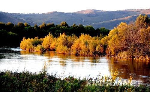 Paysage magnifique en automne au bord de la rivière Miaodu dan la ville de Yakeshi, photo prise le 15 septembre