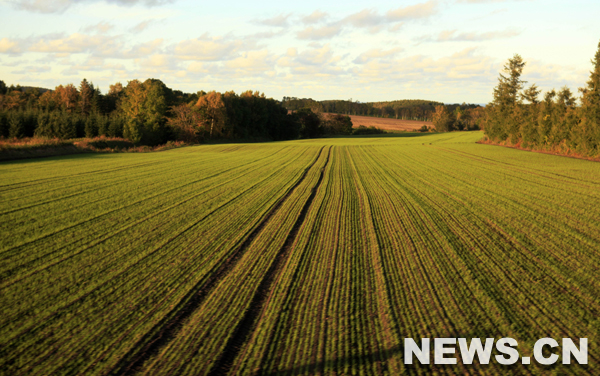 Photo (prise le 7 octobre 2009) du paysage pittoresque de Abashiri, dans le nord de l&apos;île d&apos;Hokkaido du Japon.